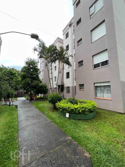 Image 4 - 273053